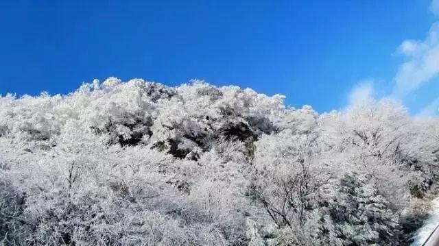 一年一度考研季，为什么都建议大学生到图书馆复习？游戏画面