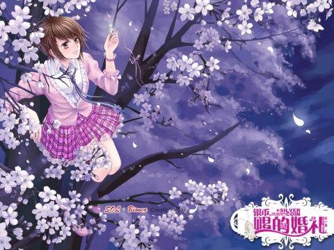 hss钢棒hss钢板