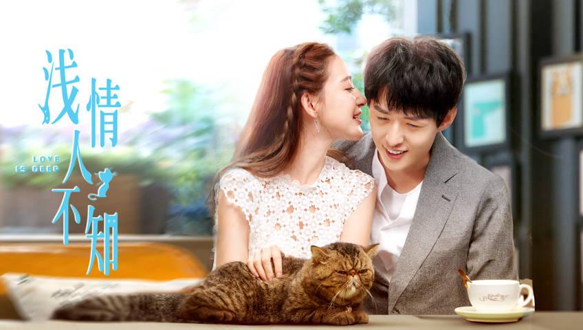 猫头鹰男孩